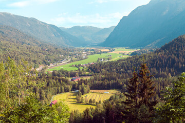 Landscape consisting of a Norway mountains with fir-trees and green grassy valley