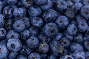 Background of the fresh blueberries