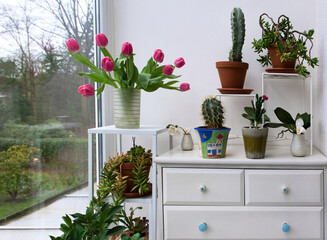 Frühling, Blumen, Balkon, Wintergarten