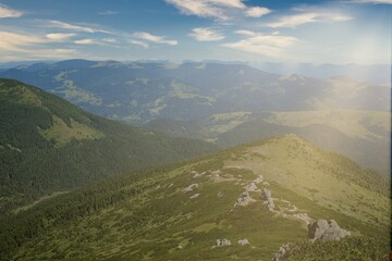 Obraz premium Carpathians mountain range at summer morning. Beauty of wild virgin Ukrainian nature. Peacefulness.