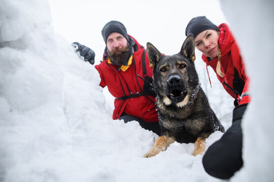 Mountain Rescue Service With Dog On Operation Outdoors In Winter In Forest.