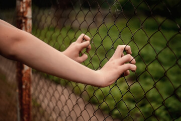 The teenager's hands cling to the steel mesh that separates him from nature and freedom. Teen...