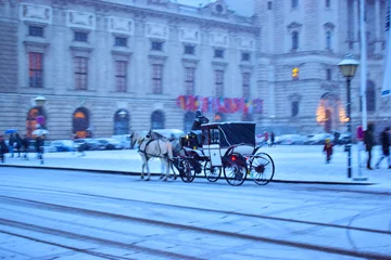 Foto op Plexiglas Horse-Drawn Carriage in Vienna Austria on a winter evening in the city with beautify snowfall  © divya