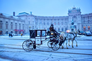 Fotobehang Horse-Drawn Carriage in Vienna Austria on a winter evening in the city with beautify snowfall  © divya