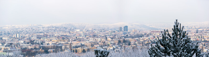 Fototapeta premium Morning view of a frozen and snowy city with trees in the foreground