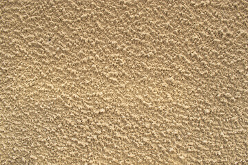Texture. Beige wall with curly plaster.