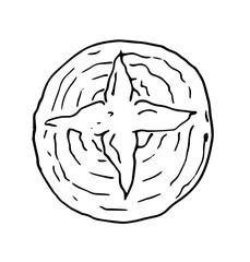 vector isolated element of round bread drawn by hand in the style of doodle. black outline of a round tortilla with a cross-section and circular stripes of bread texture on a white background for a ba