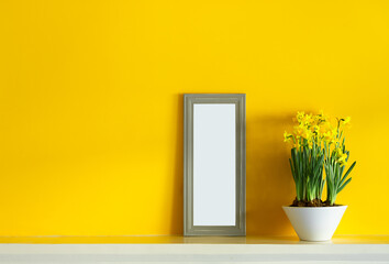 A white ceramic pot with blooming yellow daffodils and a gray mock up frame on a yellow background with copy spacebackground with copy space