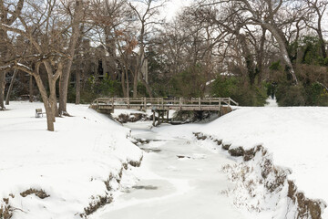 Image from The White Rock Lake Park area in East Dallas Texas on 02-15-2021 February during the snow and ice storm