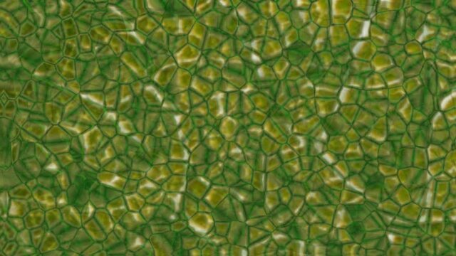 Plant nanobionics . Nano structures on surface of leaf. Nanomaterial extreme close up  macro view . 3d animation rendering concept. Organic background