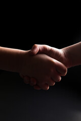Fototapeta premium Handshake in dark. Informal arrangement. Shadow business.