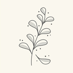 Drawn plant leaves vector icon. Botanical branch element line art. Doodle floral vintage style. Nature illustration