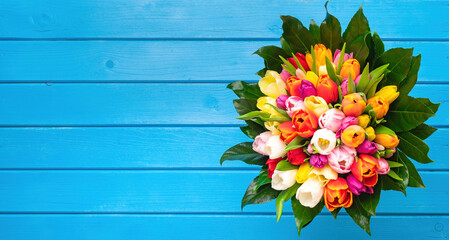 Colorful bouquet of tulips on blue wooden background. Spring tulip flowers. Greeting card with copy space for Valentine's Day, Woman's Day and Mother's Day.