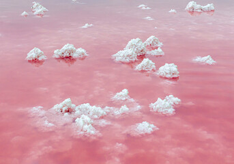 pink lake very beautiful white salt crystals on pink water background nice background