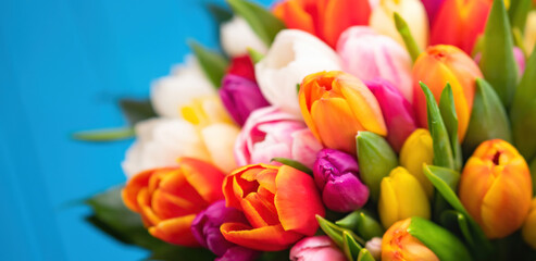 Colorful bouquet of tulips on blue wooden background. Spring tulip flowers. Greeting card with copy space for Valentine's Day, Woman's Day and Mother's Day.