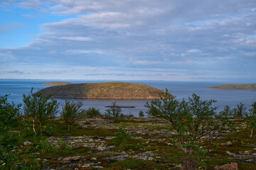 Bay on an island in the White Sea.