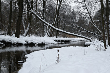 River in wintertime and landscape with forest.
