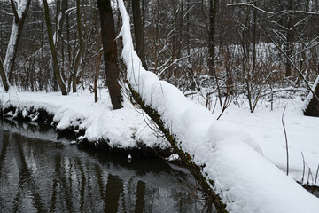 Cold morning in a wintry river landscape.