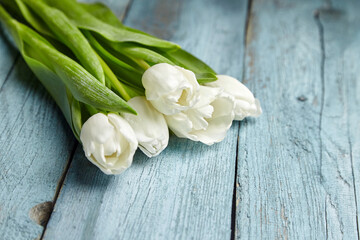 Obraz na płótnie Canvas White tulips spring flowers on light blue wooden background