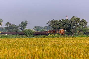 Bullapur, Karnataka, India - November 9, 2013: Brown freight train behind yellow rice field under...