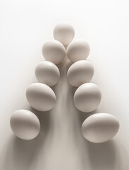 beautiful little chicken, egg and eggshell isolated on the white