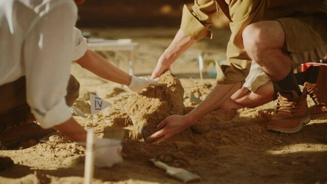 Archeological Digging Site: Two Great Archeologists Work on Excavation Site, Carefully Cleaning, Lifting Newly Discovered Ancient Civilization Cultural Artifact, Historic Clay Tablet, Fossil Remains