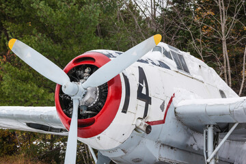 Canada, New Brunswick, Miramichi River Valley, Boiestown. WW2-era Avenger bomber used in aerial firefighting under early snow.