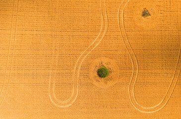 Breathtaking top view of agricultural area and cultivated fields in sunny day.Drone photography.