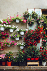 Fototapeta na wymiar a flower shop near the house, pots of flowers are hung on the wall of the house