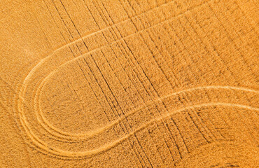 Fototapeta premium Aerial view of wheat field with tractor tracks. Farm from drone view.