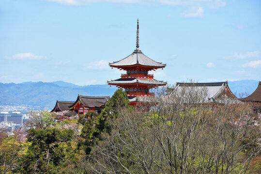 466 件の最適な 清水寺三重塔 画像 ストック写真 ベクター Adobe Stock
