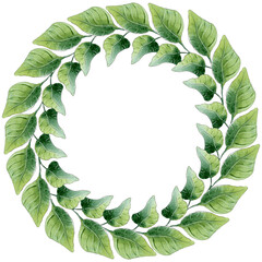 Watercolor green leaf wreath. Greenery illustration.