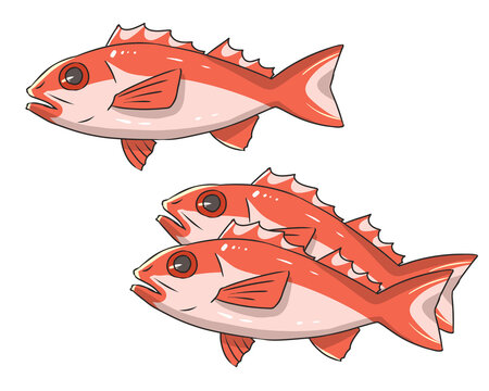 152 件の最適な ノドグロ 画像 ストック写真 ベクター Adobe Stock