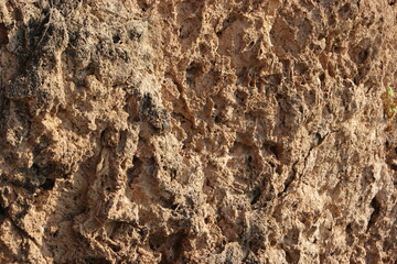 Rock formation texture. Natural eroded sandstone pattern. Erosion texture on rock formations. Rock surface close up.