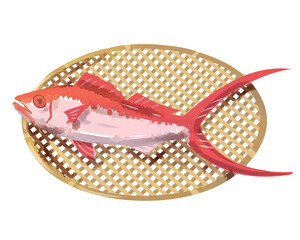 ハマダイ　ざる　水彩風