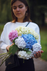 bouquet of white blue pink and yellow hydrangea in the hands of a girl on a blurred background