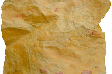 Pinewood Pinery forest close-up isolated Bark Pine tree Macro. Grunge background for your inspiration. Old ancient Page