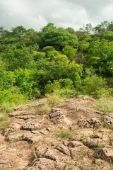 Fototapeta na wymiar Eroded rocks and caatinga forest in the rainy season in the countryside of Oeiras, Piaui (Northeast Brazil)