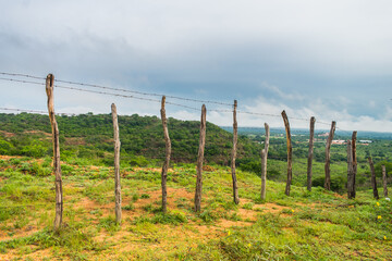 Fototapeta premium A view of the countryside of Oeiras, Piaui (caatinga biome) lush and green in the rainy season - Northeast Brazil