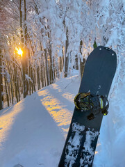 VERTICAL: Sunset illuminates the forest and a snowboard stuck in fresh snow.