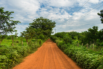 Countryside paths in Oeiras, Piaui (caatinga biome) lush and green in the rainy season - Northeast Brazil