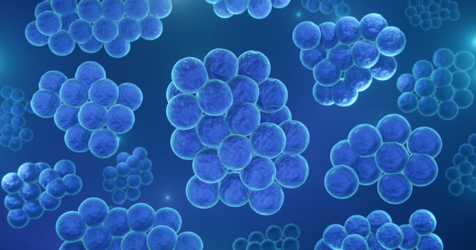 Staphyloccocus aureus drug-resistent bacteria