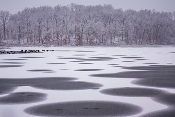 Artistic design of clear frozen circles of uncovered lake ice across a snowy fresh snowfall day landscape in January, Michigan, USA