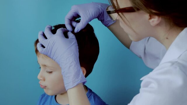 The pediatrician in the gloves will check the presence of lice and nits in a small child. Pediculosis in kindergarten, preventive examination of the head and hair