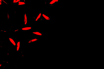 Conceptual isolated red color paint brush stroke on black background