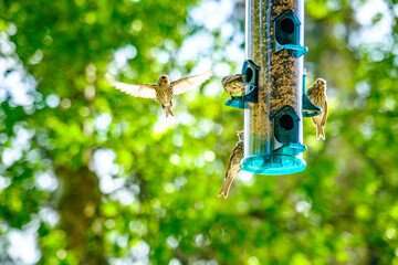 close up shot of a bunch of laundry
