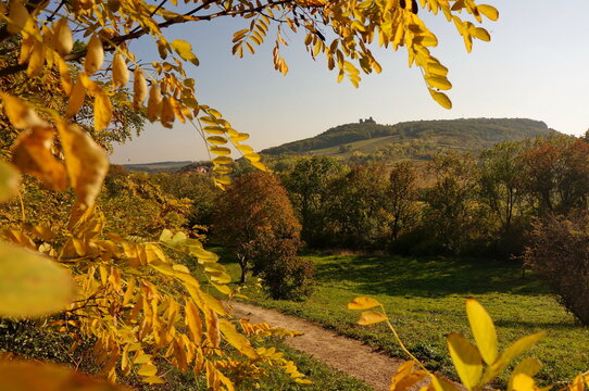 Picture of a beautiful autumn landscape in P&aacute;lava protected landscape area in Czechia, framed by yellow leaves