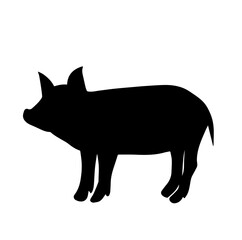 Pig silhouette icon logo in vector isolated on white background
