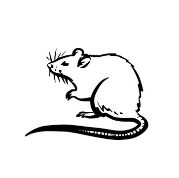 Rat icon logo in vector on white background. Rat illustration in hand drawn style