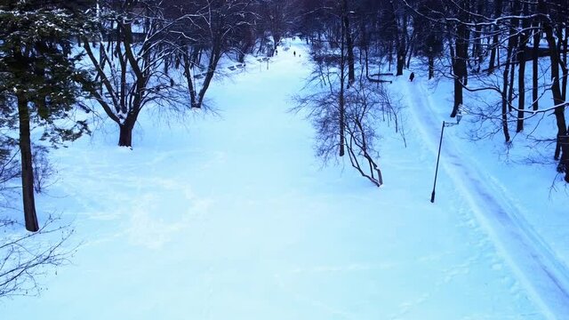 Aerial view of a drone flying over the winter park.